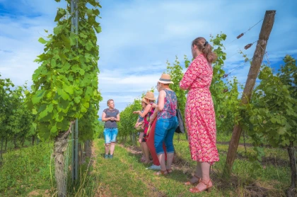 Balades vigneronnes - app.name