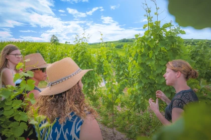  - Expériences Pays de Barr