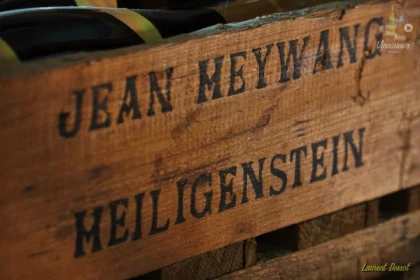  - Expériences Pays de Barr