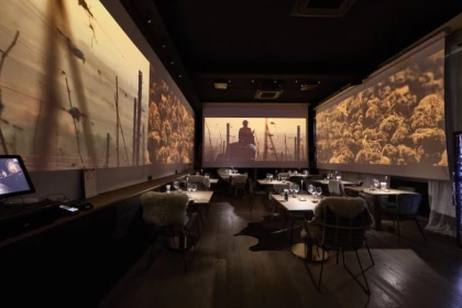 Wine tour, tasting and Alsatian meal - 100% immersive experience - Expériences Pays de Barr